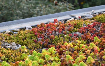 the cost of Lyneal green roof installation