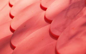 Lyneal plastic roof costs